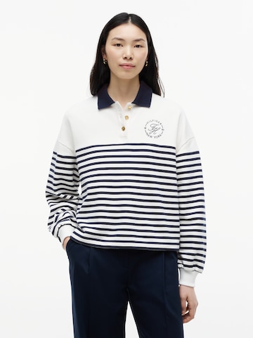 TOMMY HILFIGER Свитшот в Белый: спереди