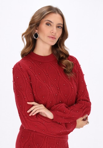 faina Trui in Rood: voorkant