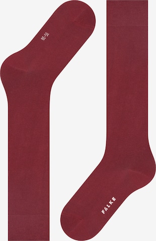 FALKE Knee High Socks 'Cotton Touch' in Red: front