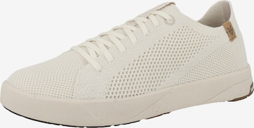 Baskets basses 'Cannon' SAOLA en blanc : devant