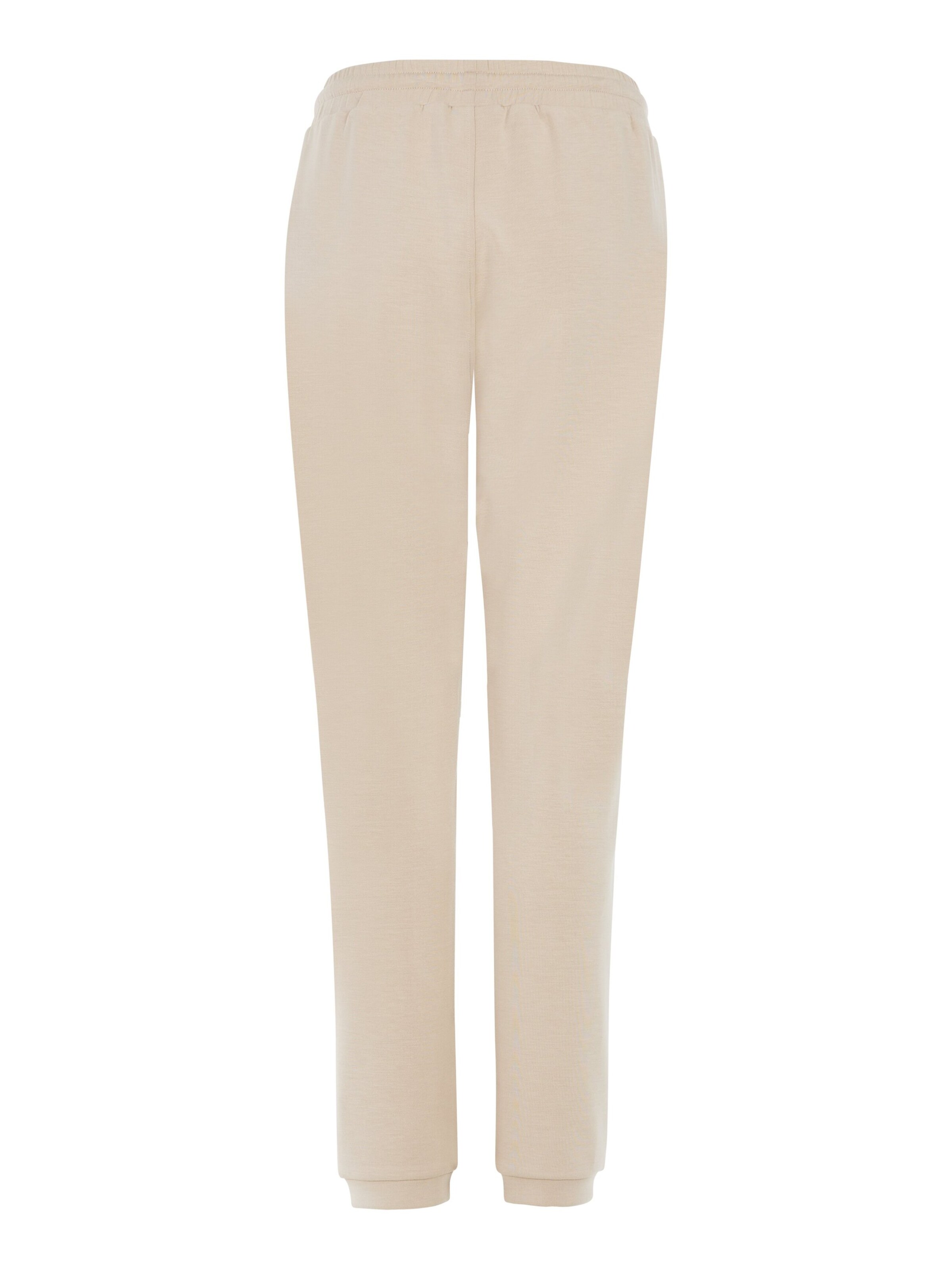 PROTEST Regular Hose 'PRTEdina'‌ in Braun