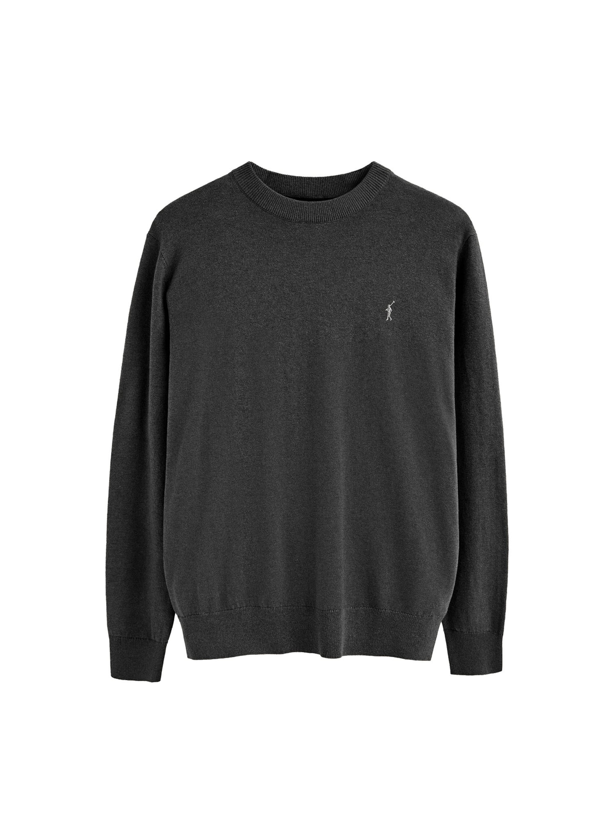 Polo Club Pullover in Grau: Vorderseite