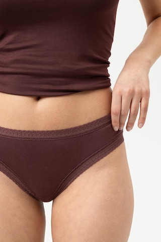 Mey Slip 'Modal Lace' in Braun