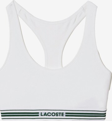 LACOSTE Bralette Bra in White: front