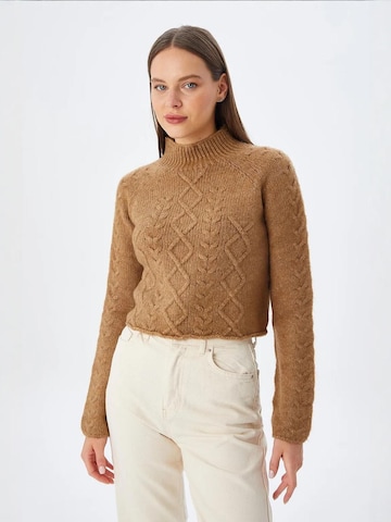 MixRay Sweater in Brown: front
