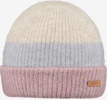 Barts Beanie in Mixed colors: front