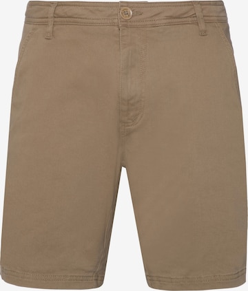 PROTEST Pants 'PRTBASTIAN' in Brown: front