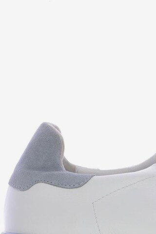 ALBA MODA Flats & Loafers in 41 in White