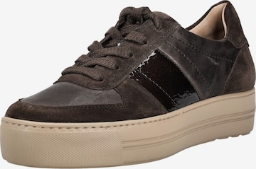 Paul Green Sneaker in Braun: Vorderseite