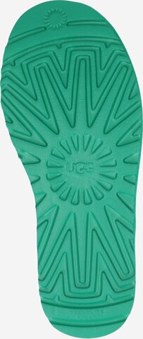 UGG Škornji za v sneg | zelena barva