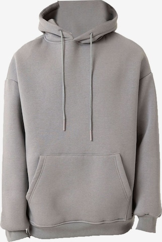 Sweat-shirt Dandalo en gris : devant