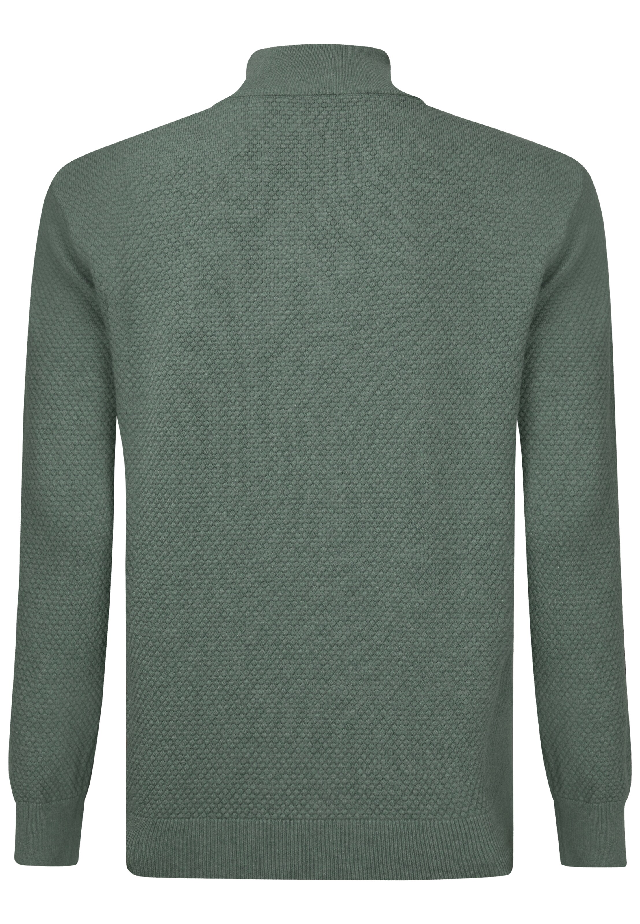 Jimmy Sanders Sweater in Green