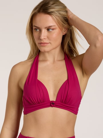 SUNFLAIR Triangel Bikinitop in Roze