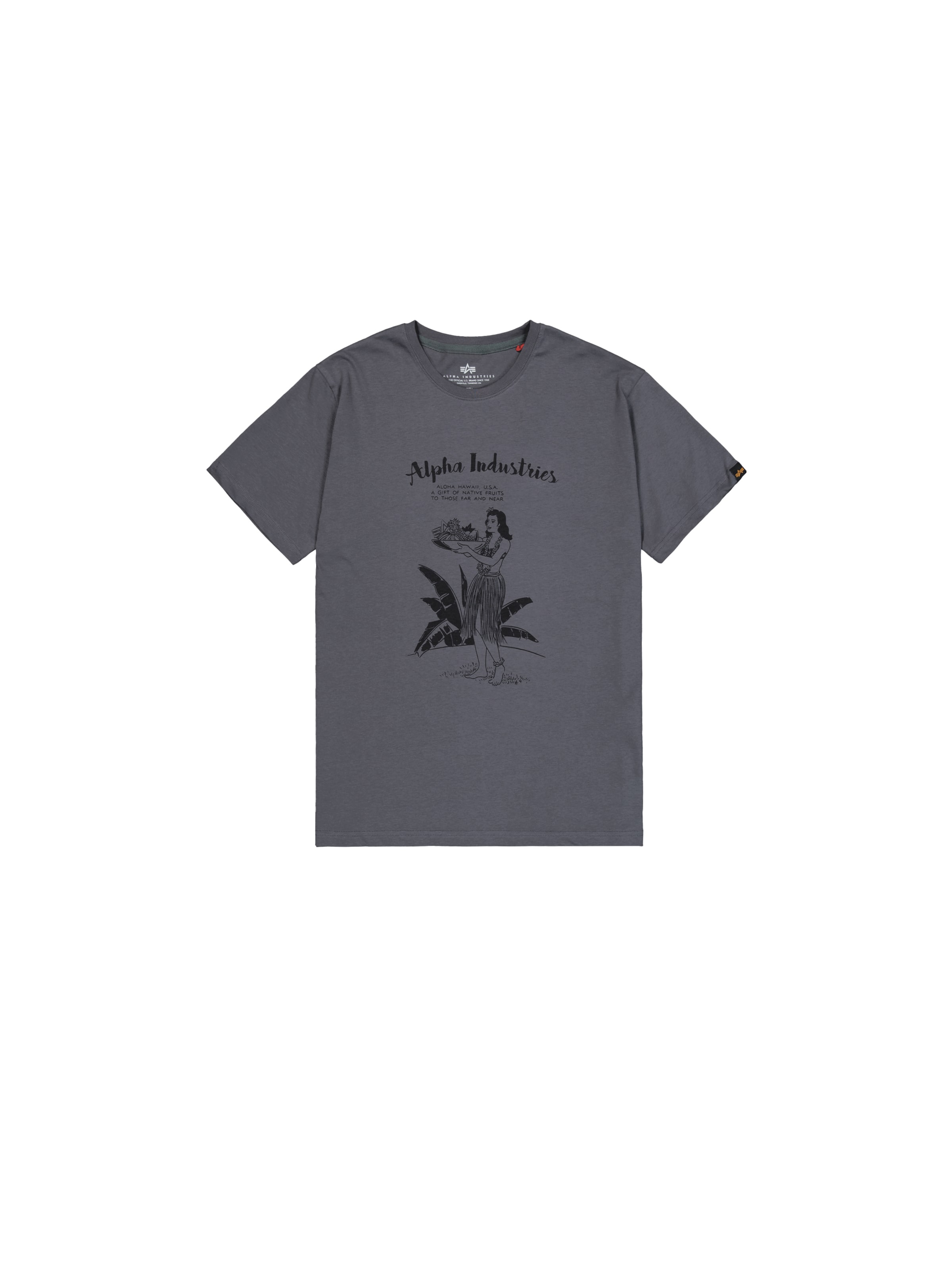 ALPHA INDUSTRIES T-Shirt 'Hawaii' in Grau: Vorderseite