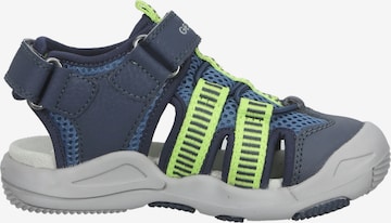 Chaussures ouvertes GEOX en bleu