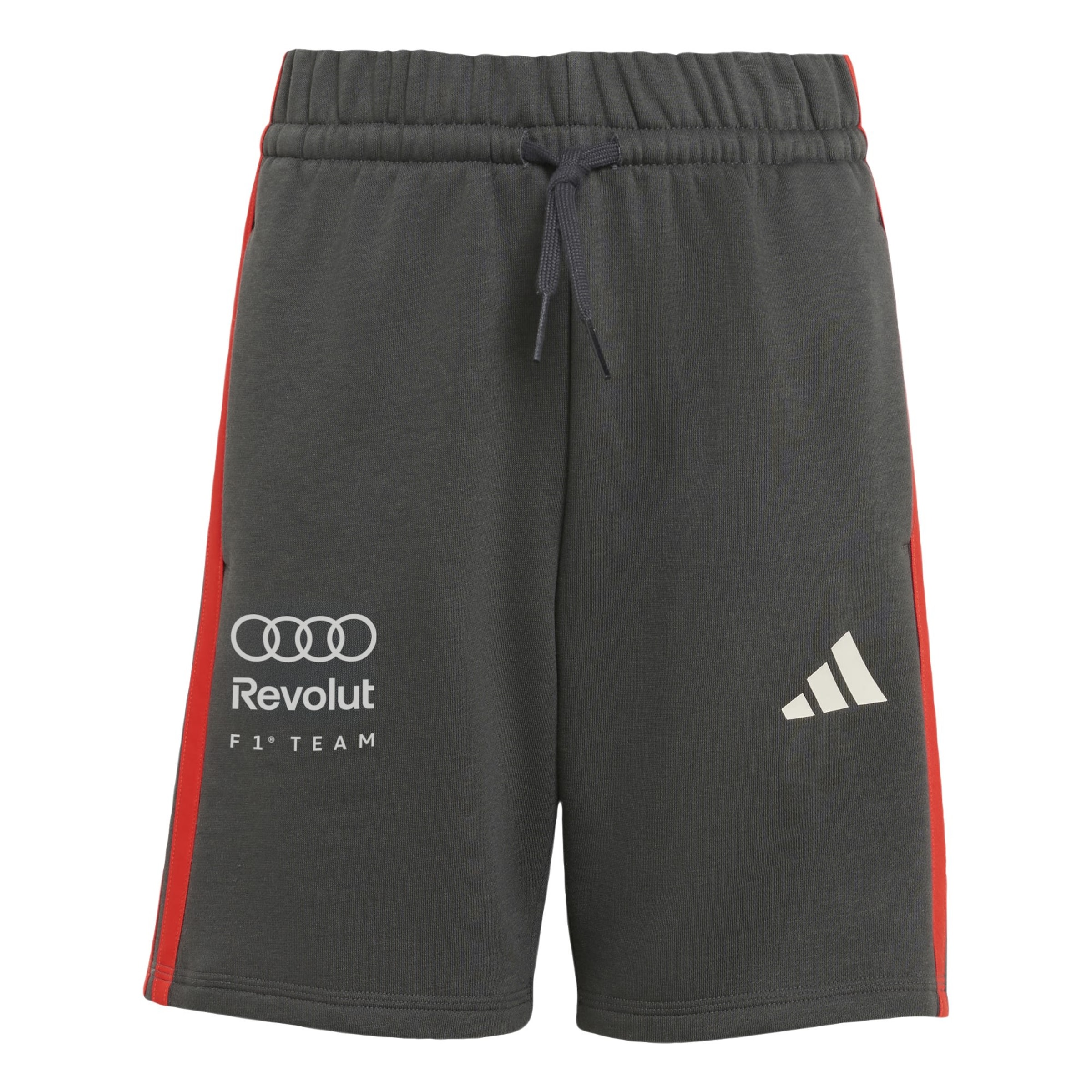 Regular Pantalon de sport 'Audi F1 Team' ADIDAS PERFORMANCE en noir : devant