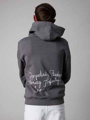 Felpa di LMTD in grigio: frontale