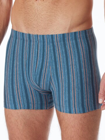SCHIESSER Boxer shorts 'Essentials' in Mixed colours