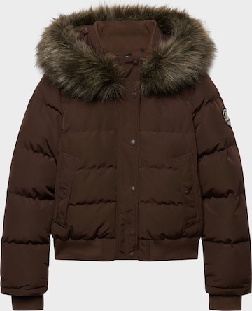 Superdry & Co Winter Jacket 'Everest' in Brown: front