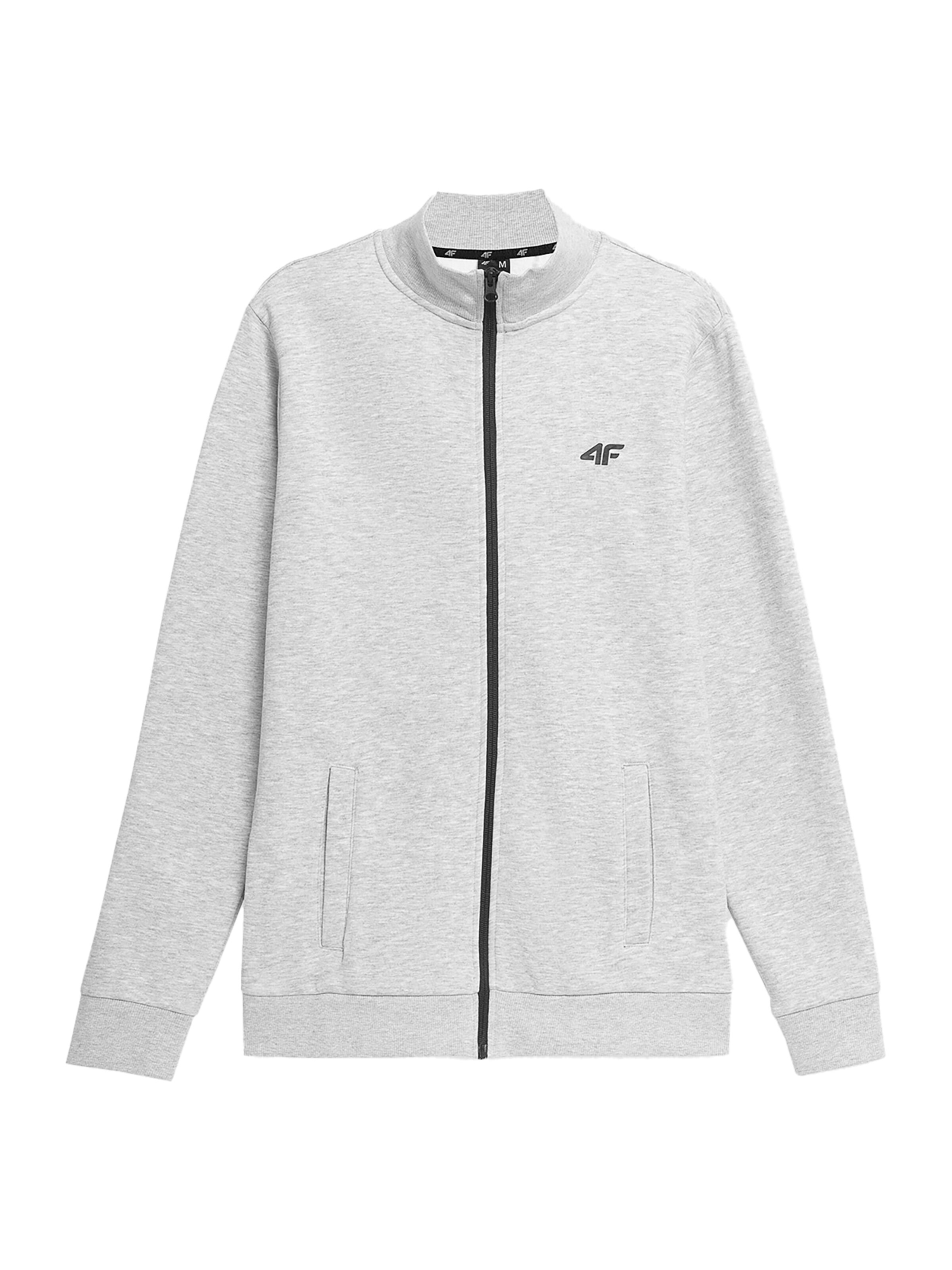 4F Sports sweatshirt in Grey: front