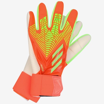 Gants de sport ADIDAS SPORTSWEAR en orange