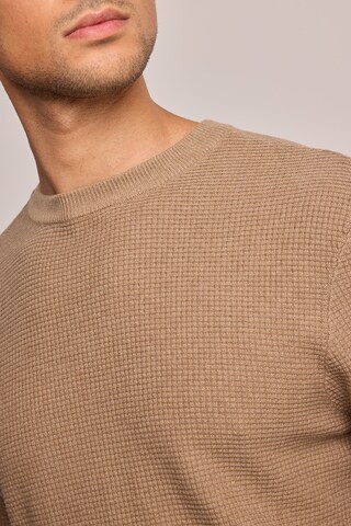 America Today Sweater in Green