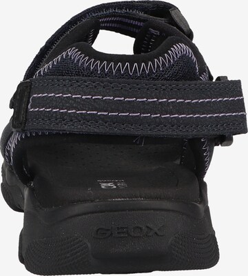 GEOX Hiking Sandals 'D Abyes C' in Blue