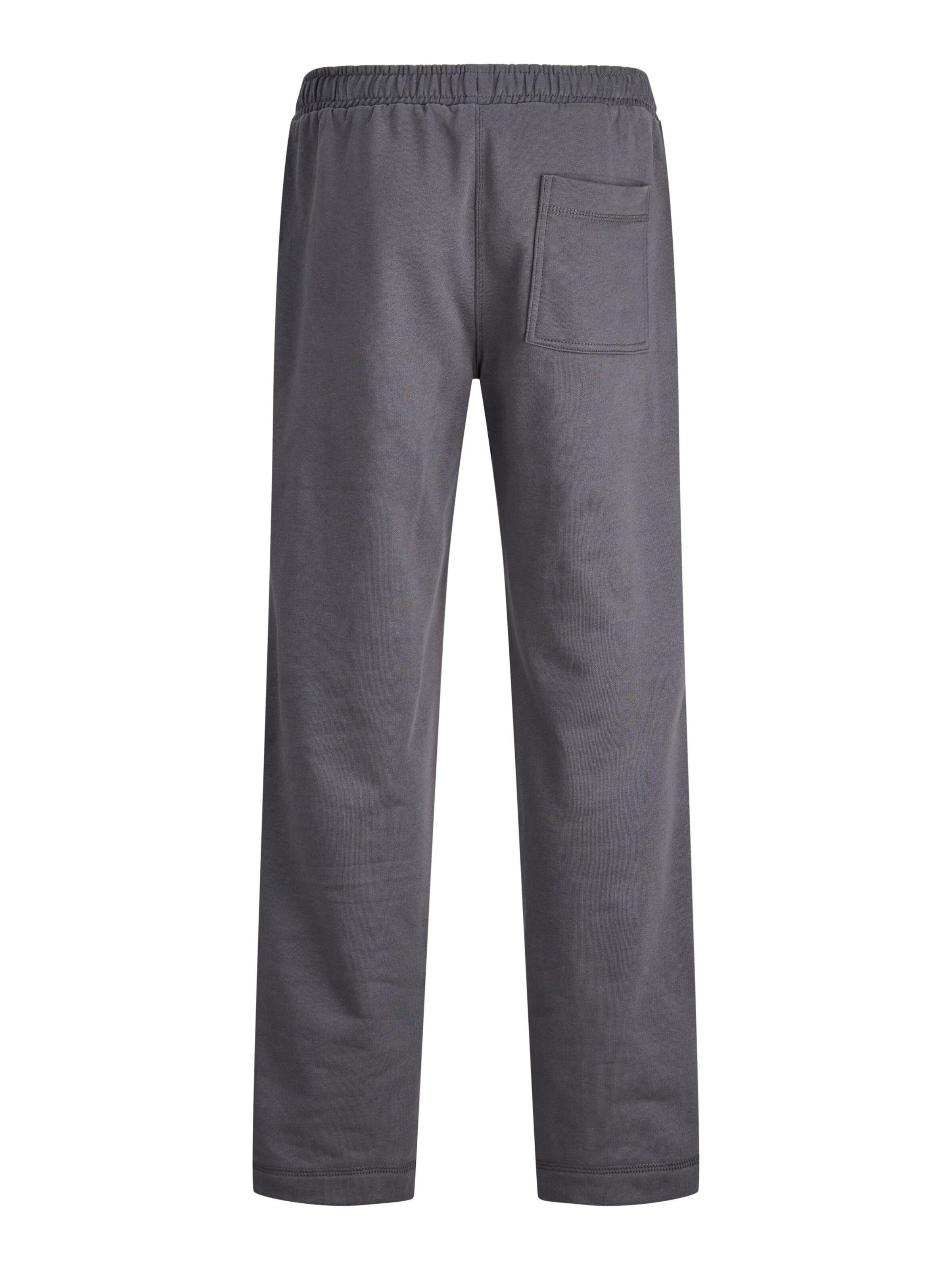 Regular Pantalon Jack & Jones Junior en gris
