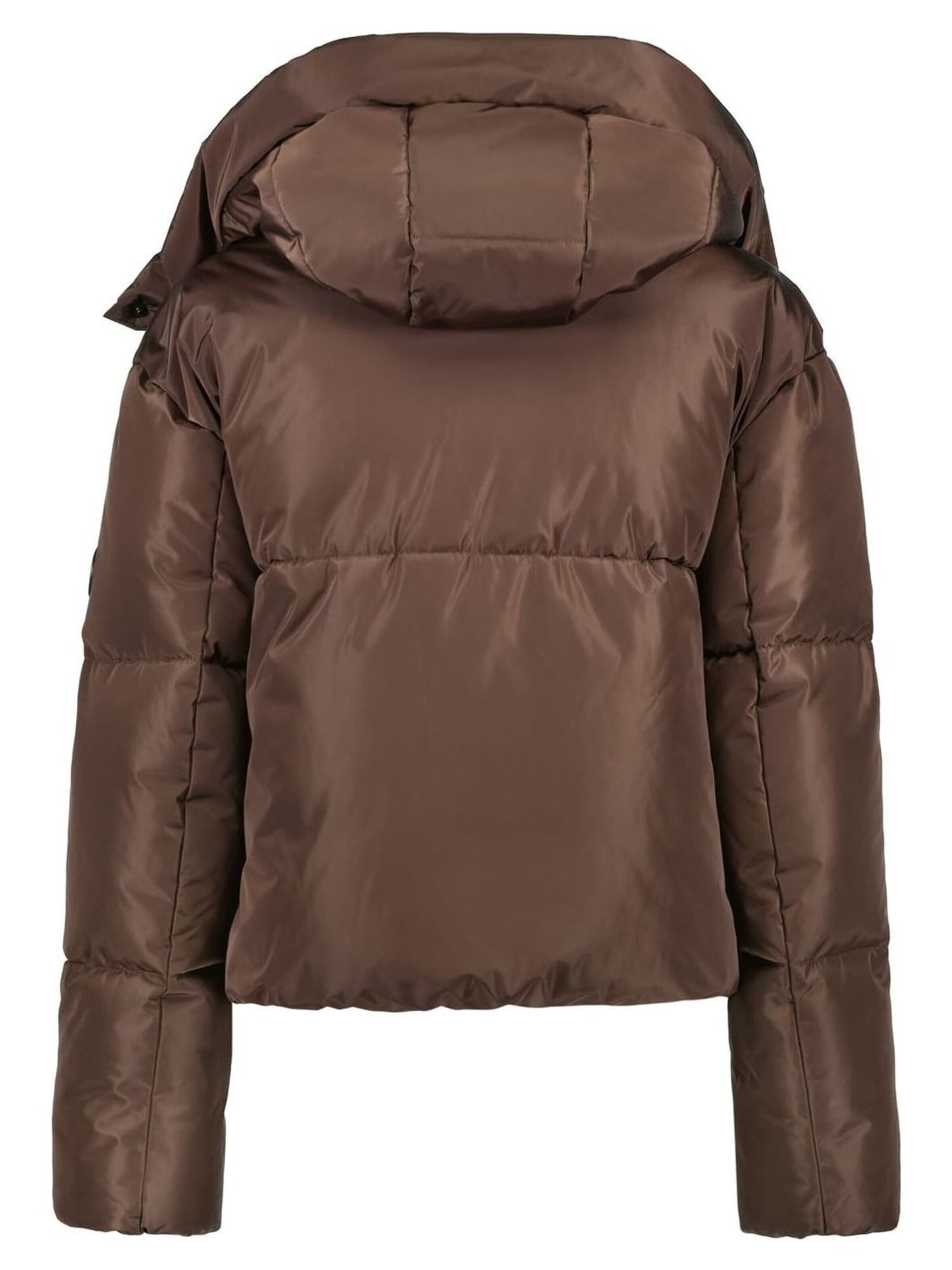 CARS Winter jacket in Brown