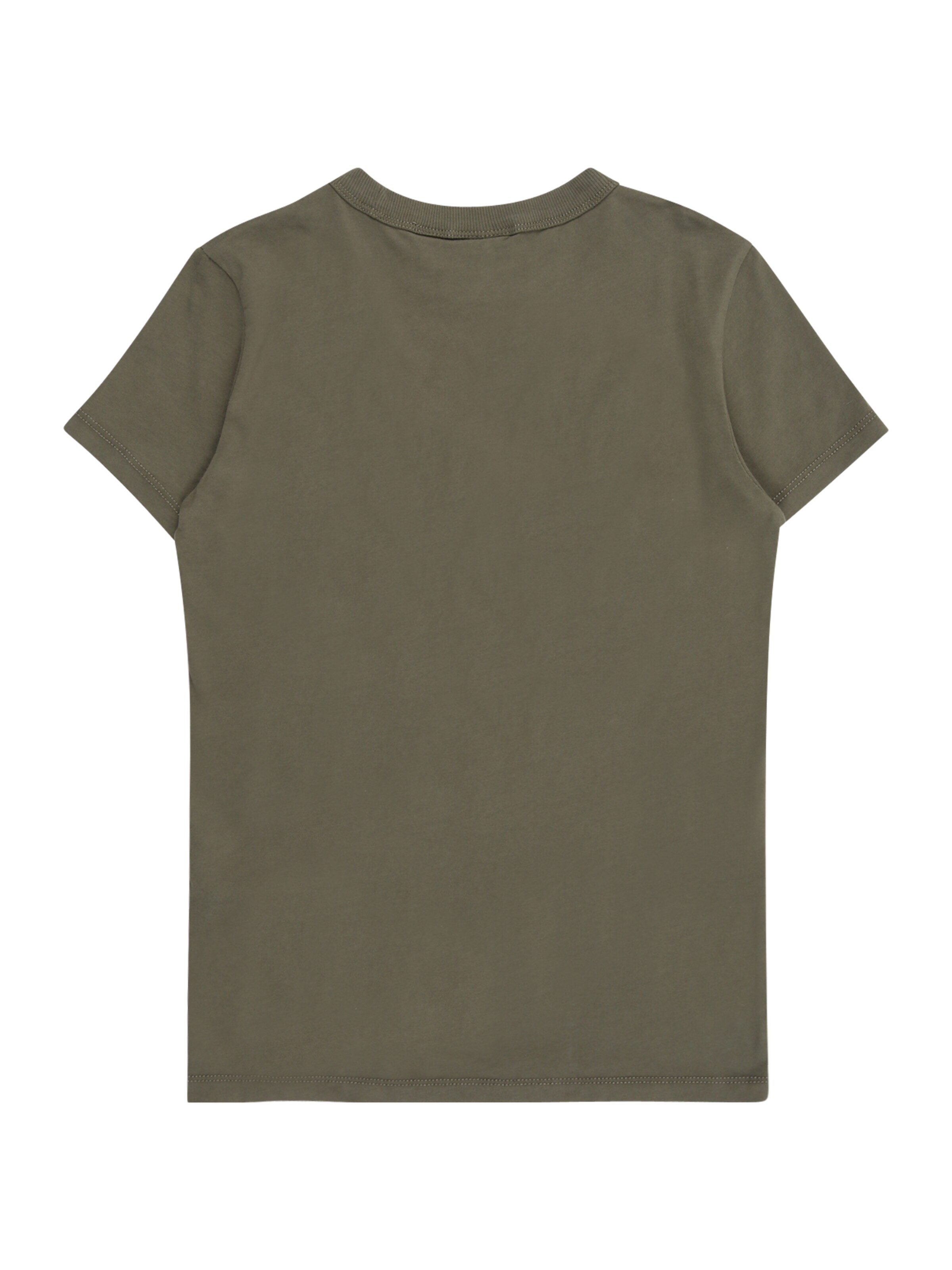 NAPAPIJRI Μπλουζάκι 'K S-CHAMOIS' σε πράσινο