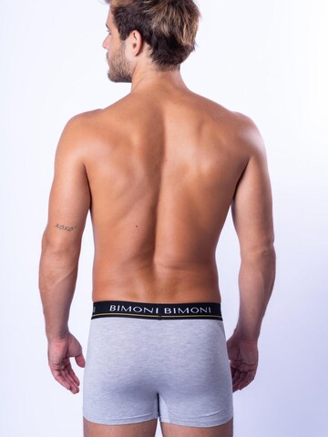 BIMONI Boxershorts in Grau
