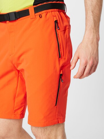 DARE2B regular Παντελόνι πεζοπορίας 'Tuned In Pro' σε πορτοκαλί