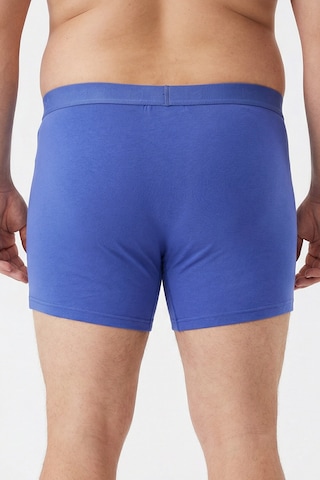 Men Plus Boxershorts in Blau