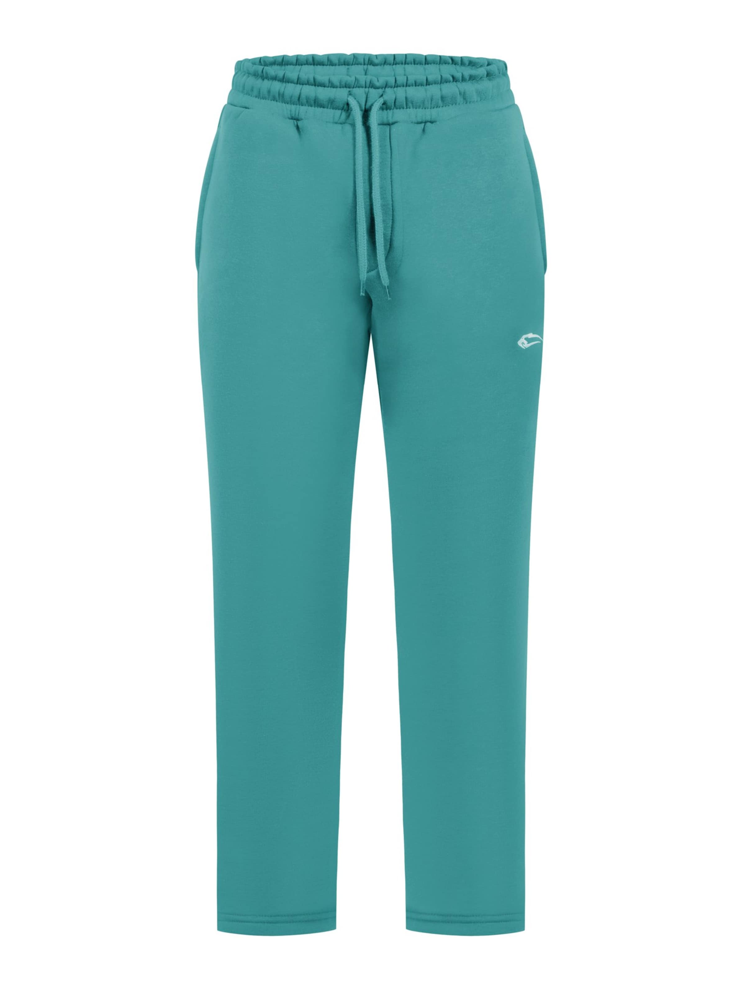 Regular Pantalon Smilodox en bleu : devant