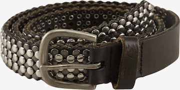 REPLAY Gürtel One Size in Mischfarben: Vorderseite