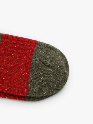 Șosete 'Icon Xmas' de la Scalpers pe verde