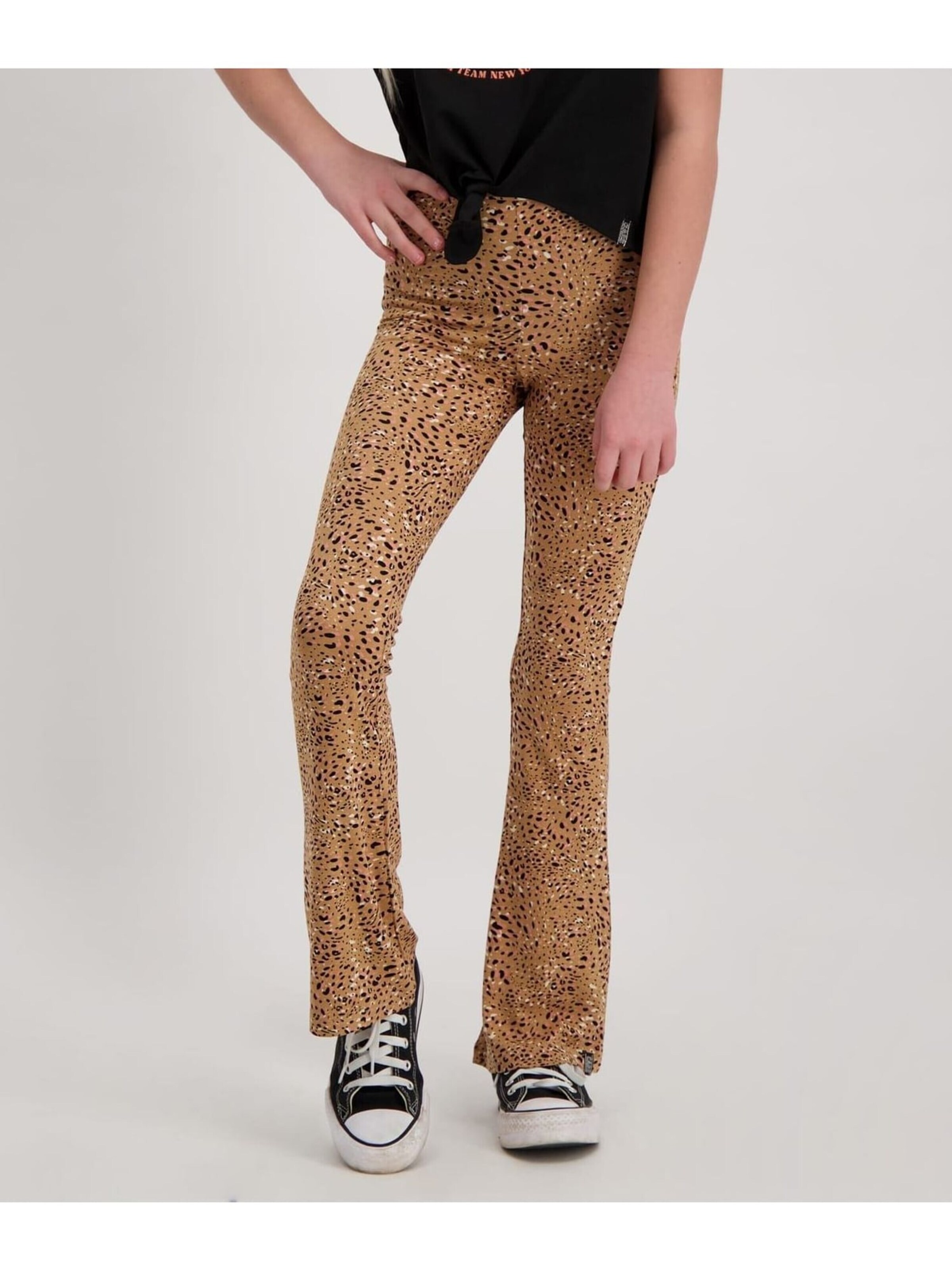 CARS Trousers in Brown