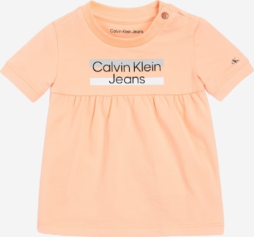 oranžs Calvin Klein Jeans Kleita: no priekšpuses