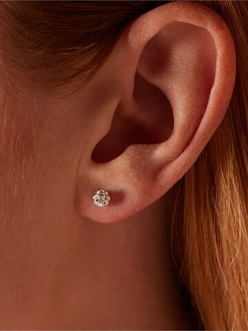 Boucles d'oreilles Lucardi en argent : devant