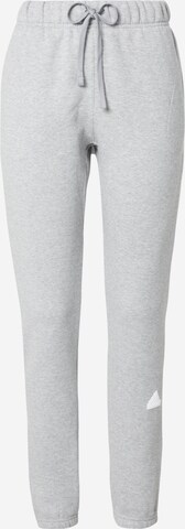 ADIDAS SPORTSWEAR Спортивные штаны в Серый: спереди