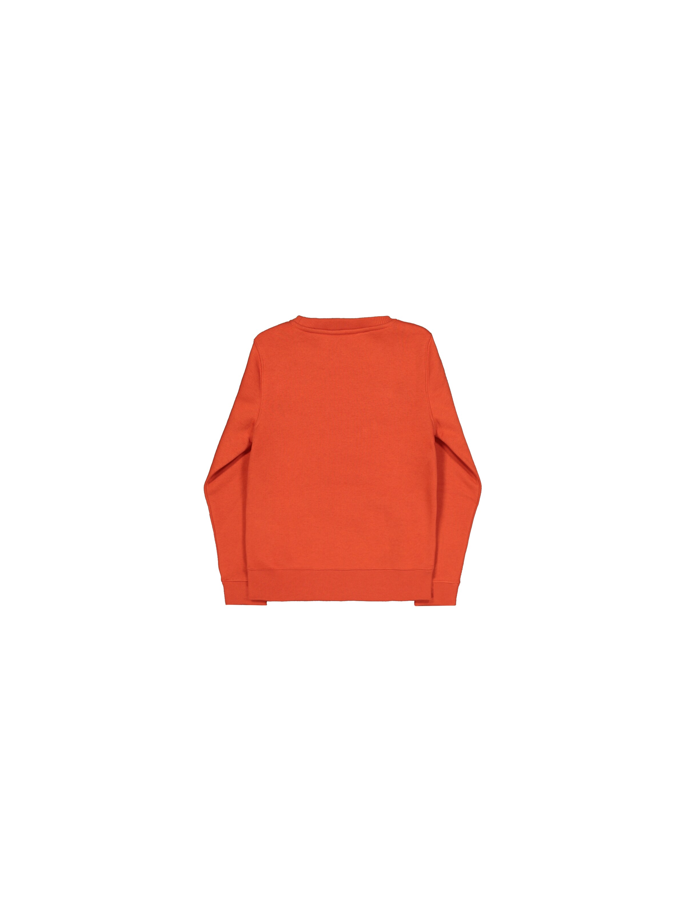 ALPHA INDUSTRIES Mikina - Červená: zadná strana