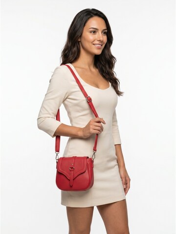 Cluty Crossbody Bag in Red
