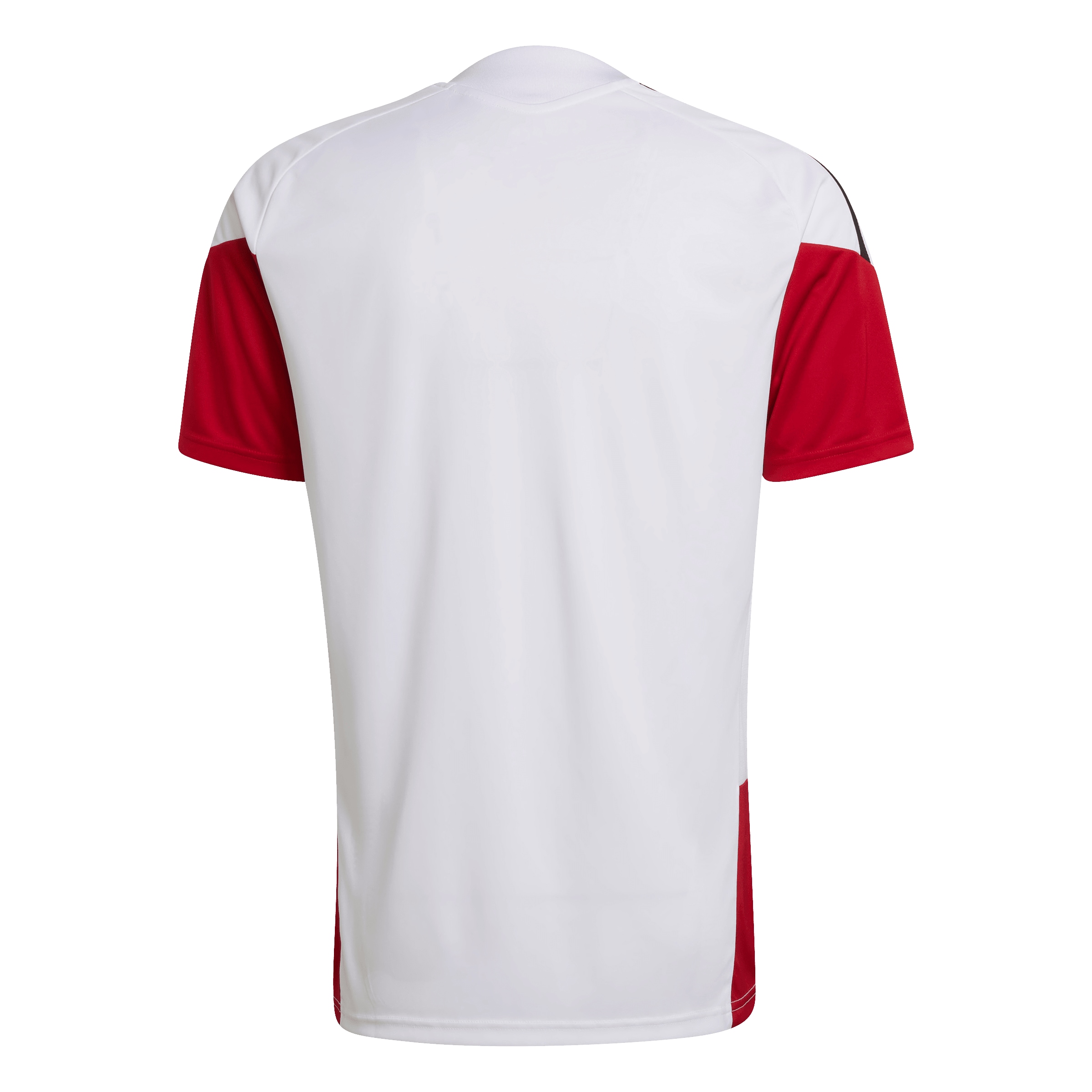 Maillot 'DFB TR JSY' ADIDAS PERFORMANCE en blanc