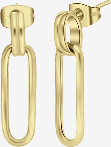 Lucardi Earrings in Gold: front