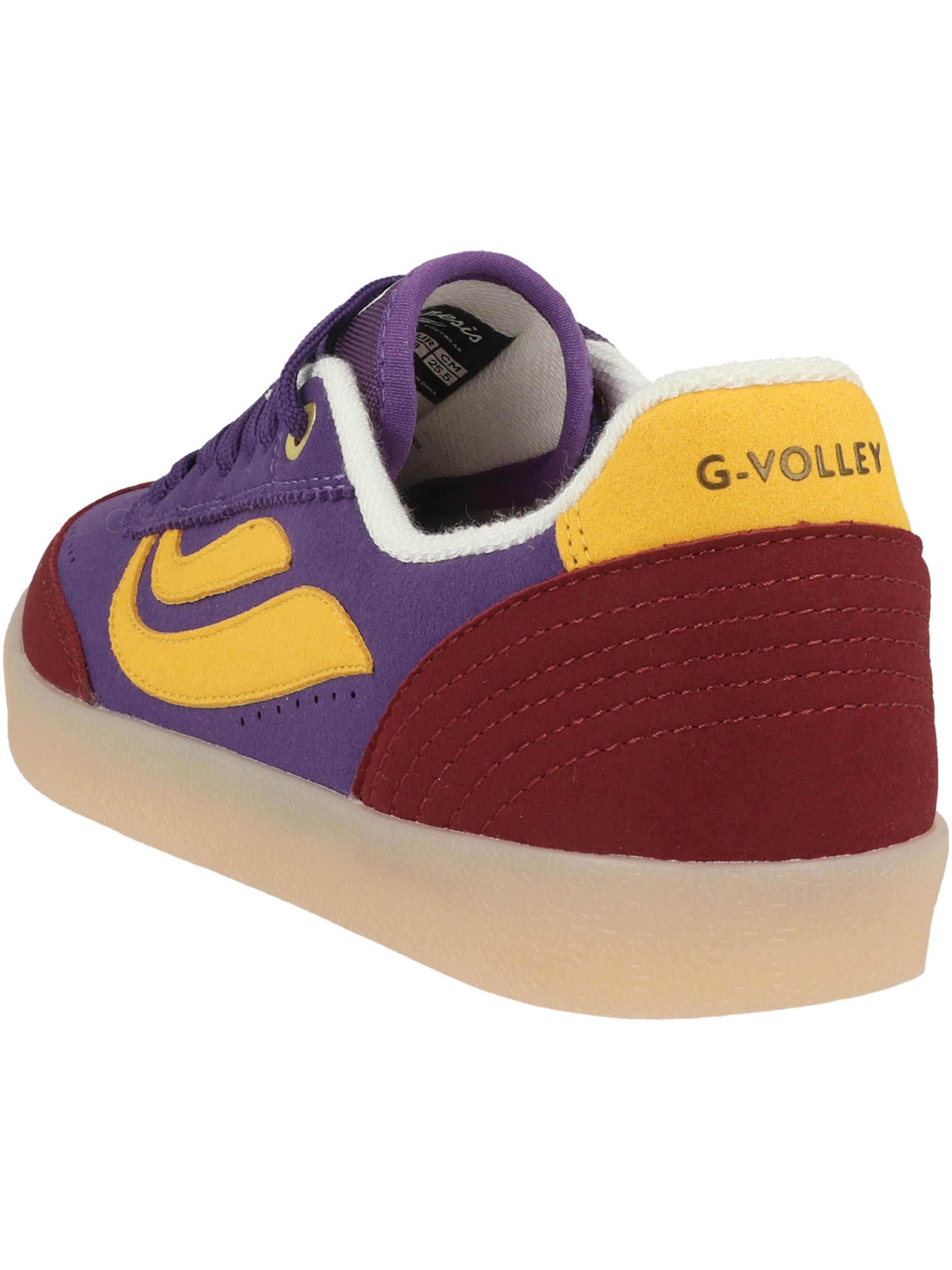 GENESIS Sneakers laag ' Volley Hairy ' in Gemengde kleuren