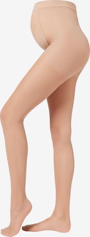 CALZEDONIA Fine Tights 'MATERNITY' in Beige: front