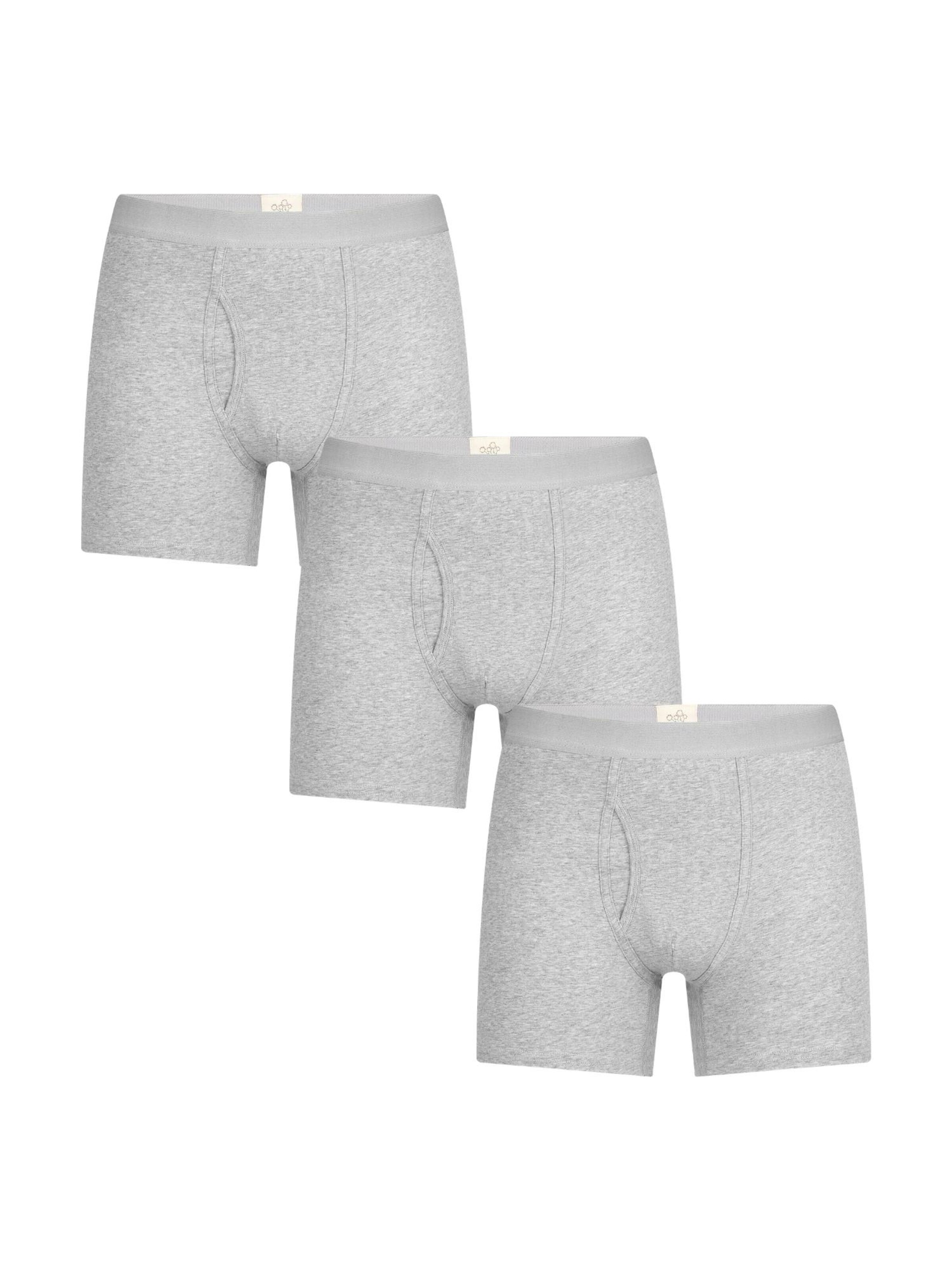 Albero Natur Boxer shorts in Grey: front