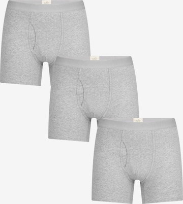 Albero Natur Boxer shorts in Grey: front