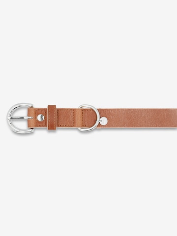 Picard Pet accessories 'Strolch' in Brown