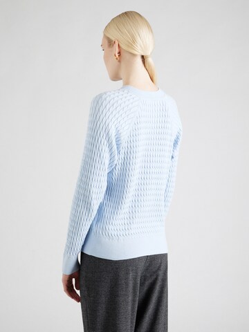 TOMMY HILFIGER Sweater in Blue